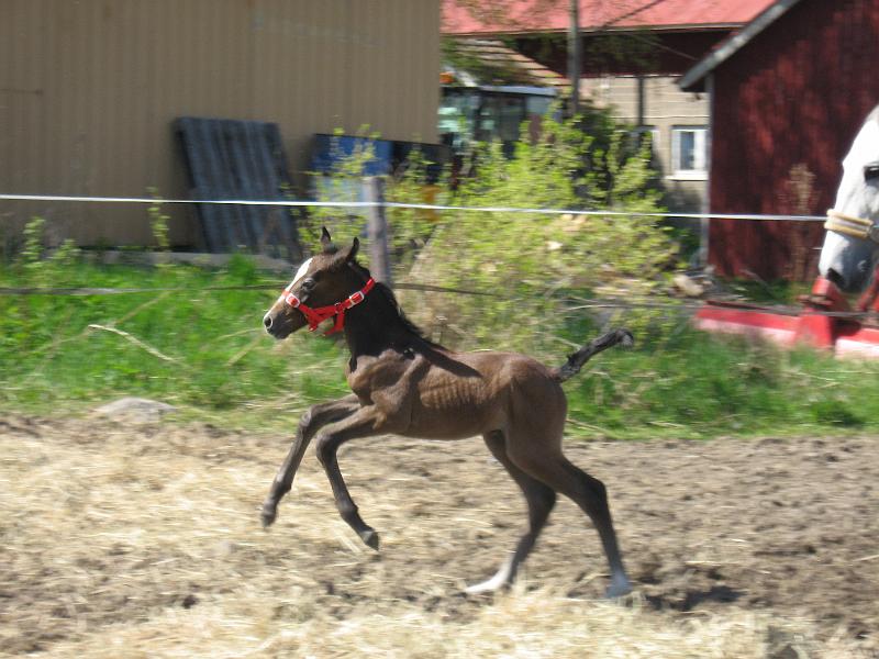 keiju 123.jpg - ..ja villej� spurtteja!